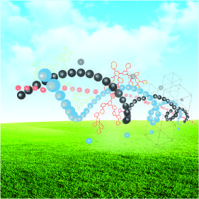 研發(fā)服務(wù)檢測(cè)項(xiàng)目