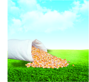 飼料檢測(cè)項(xiàng)目